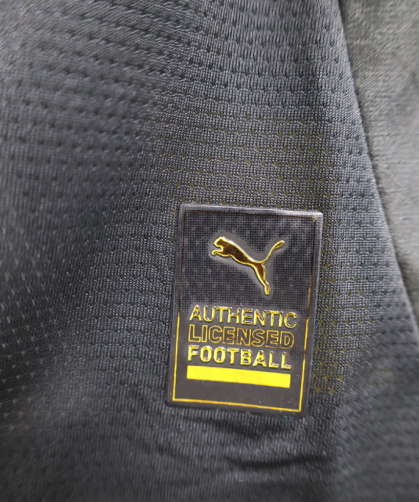 طقم بوروسيا دورتموند الاحتياطي لموسم 2024-2025