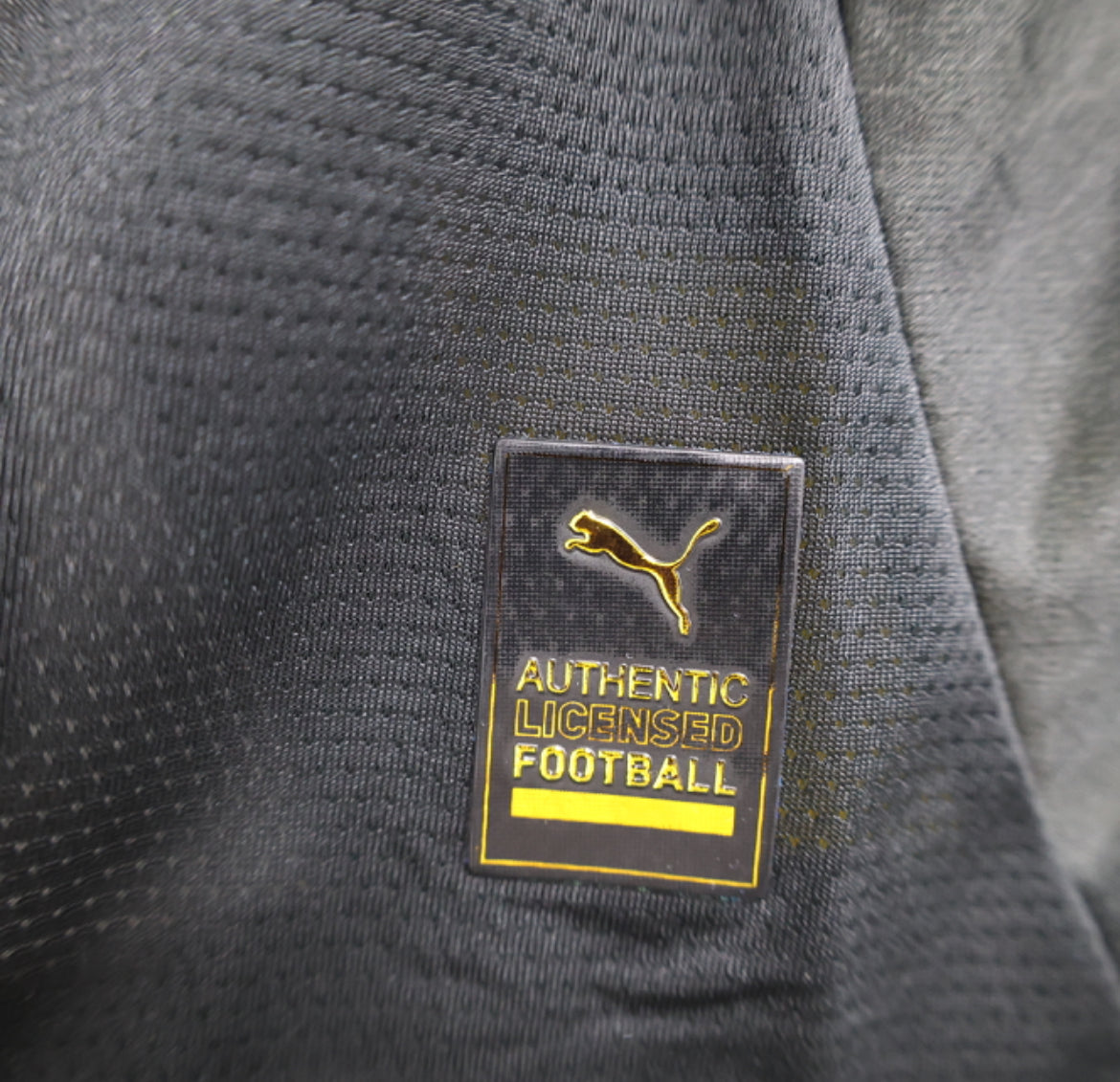 طقم بوروسيا دورتموند الاحتياطي لموسم 2024-2025