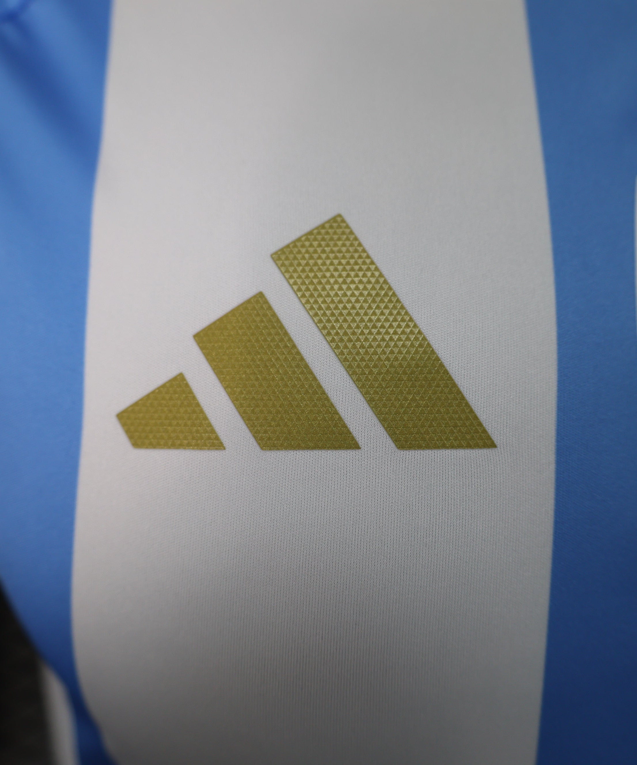 Argentina 2024-2025 Home Kit