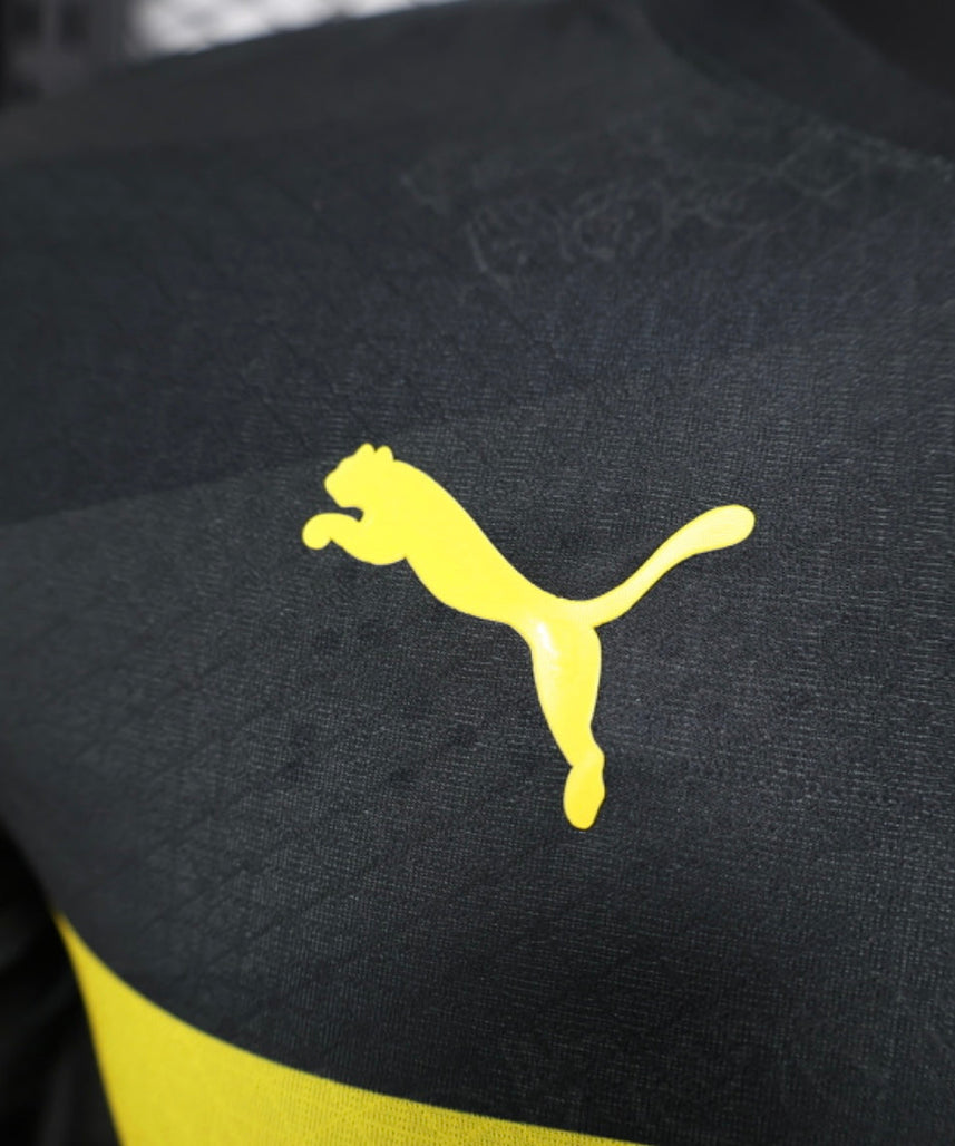 طقم بوروسيا دورتموند الاحتياطي لموسم 2024-2025