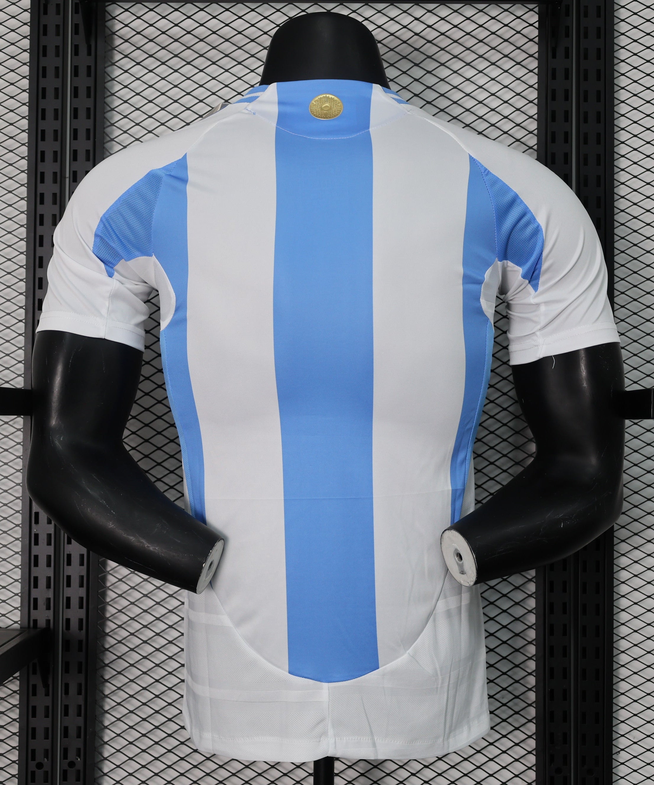 Argentina 2024-2025 Home Kit