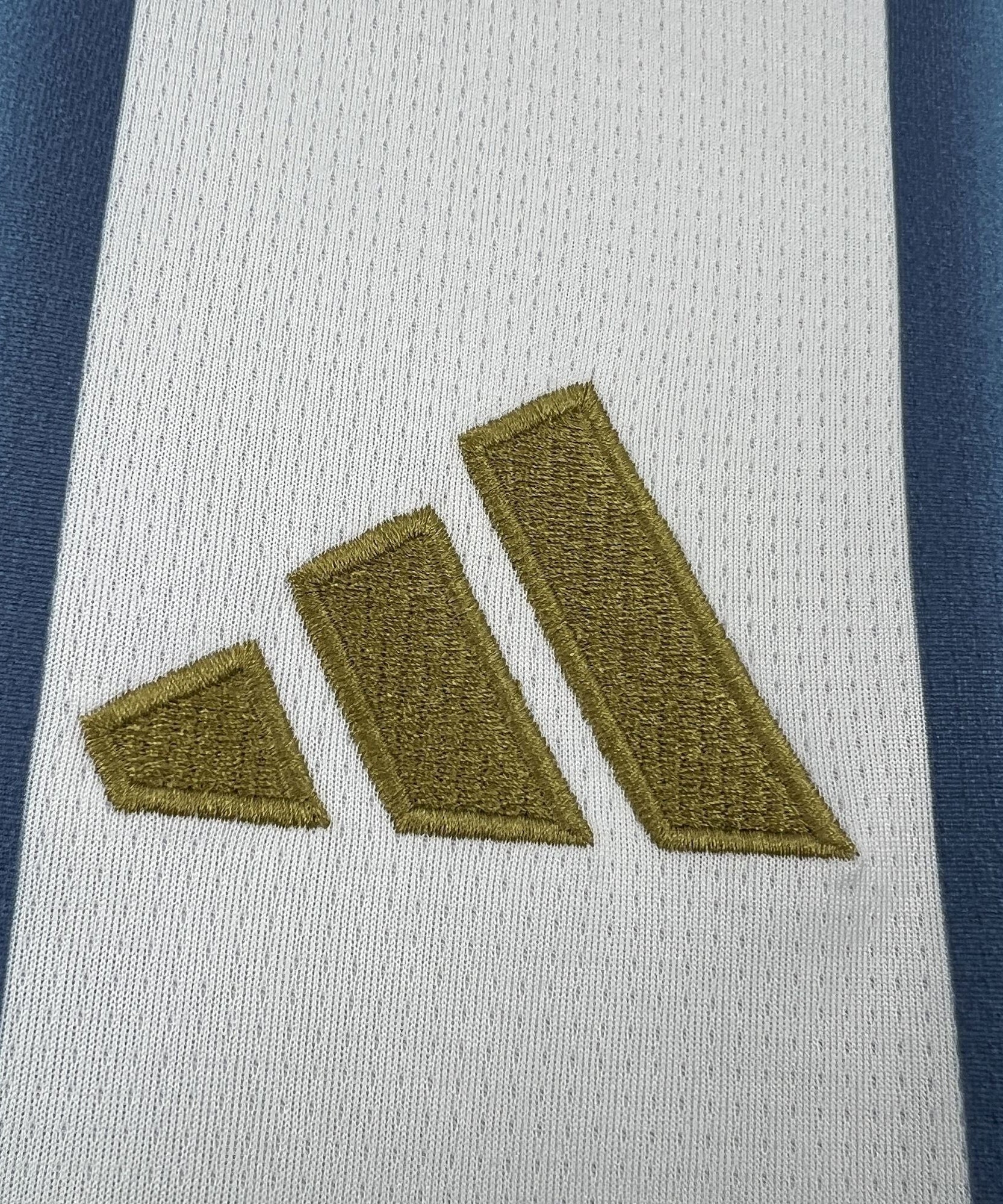 Argentinien 2026 Weltmeisterschaft Heimtrikot