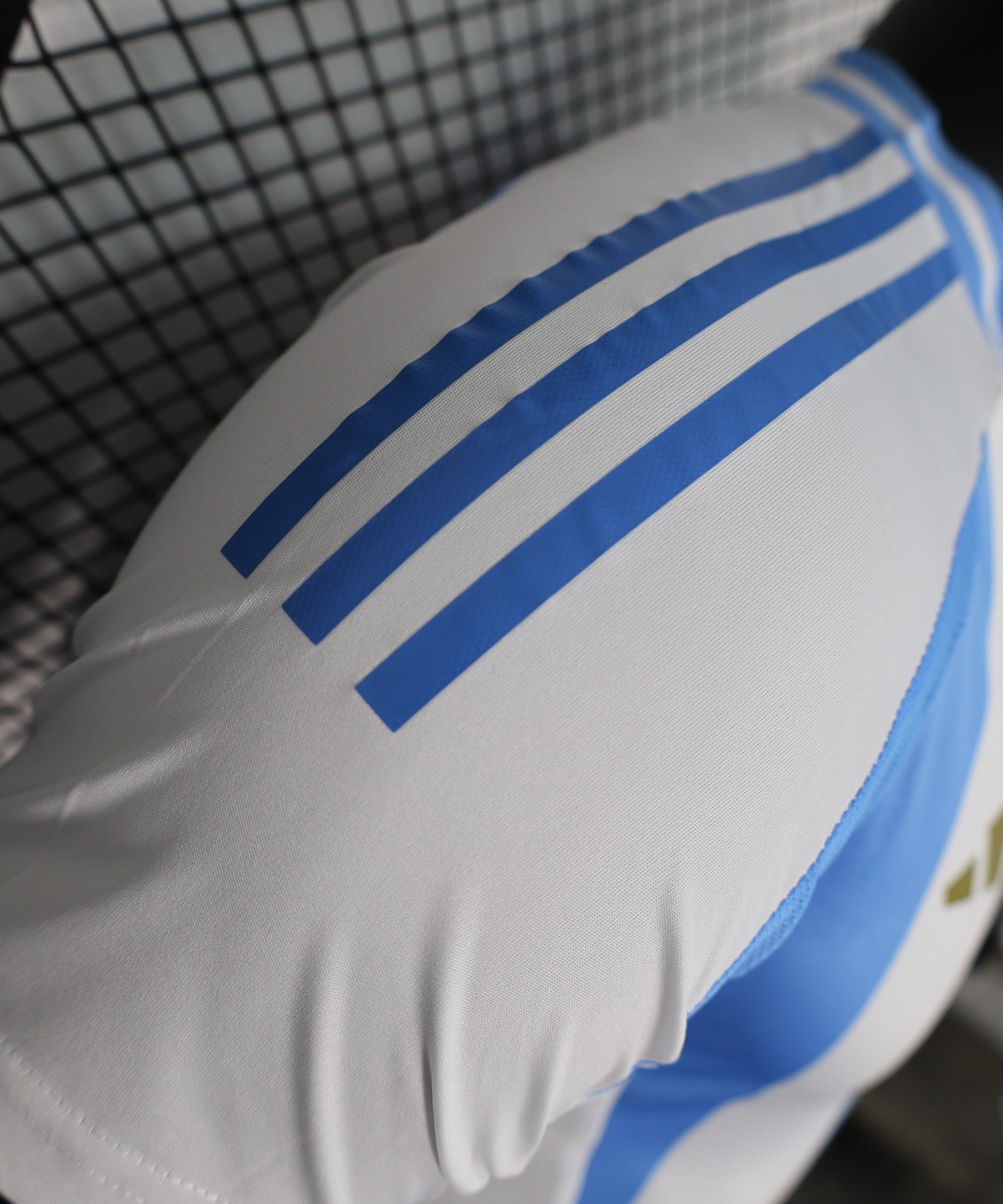 Argentina 2024-2025 Home Kit