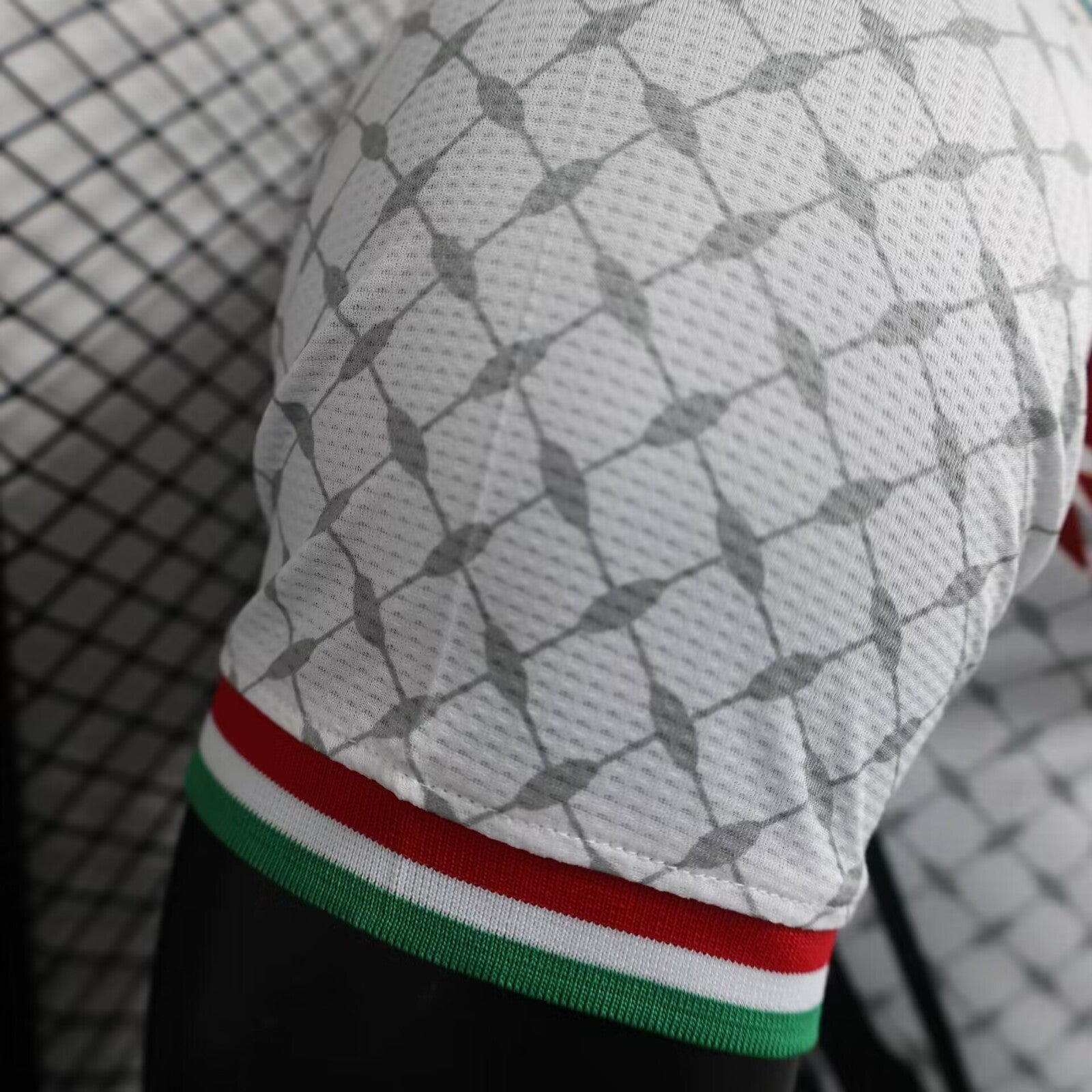 Palestina 24-25 versión jugador blanca