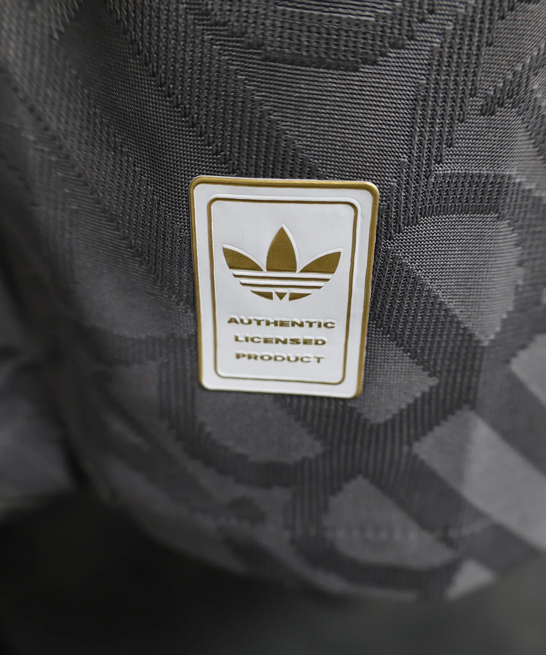 Real Madrid 2024-2025 Drittes Trikot Langarm