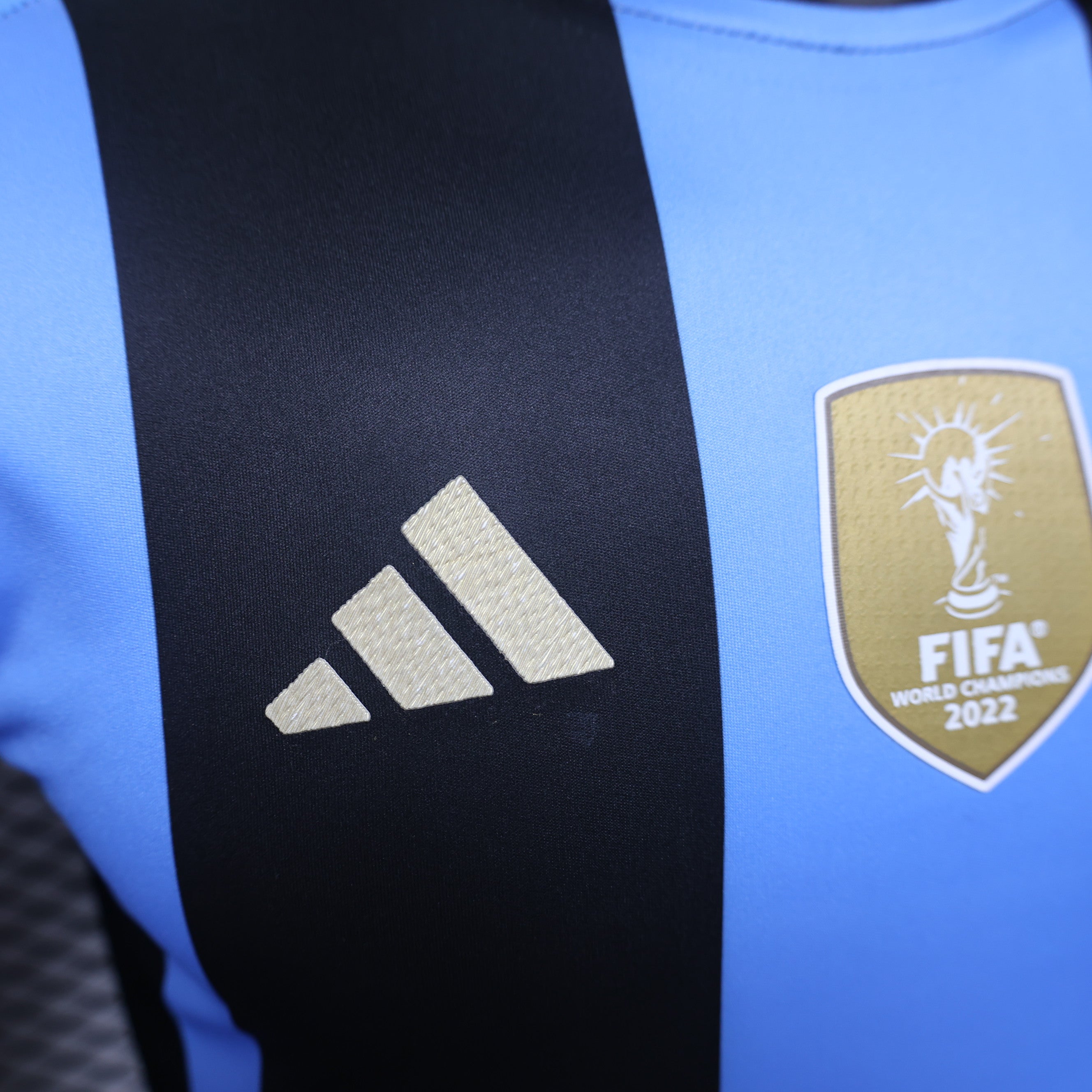 Argentina "Gloria del Horizonte" Equipación Especial