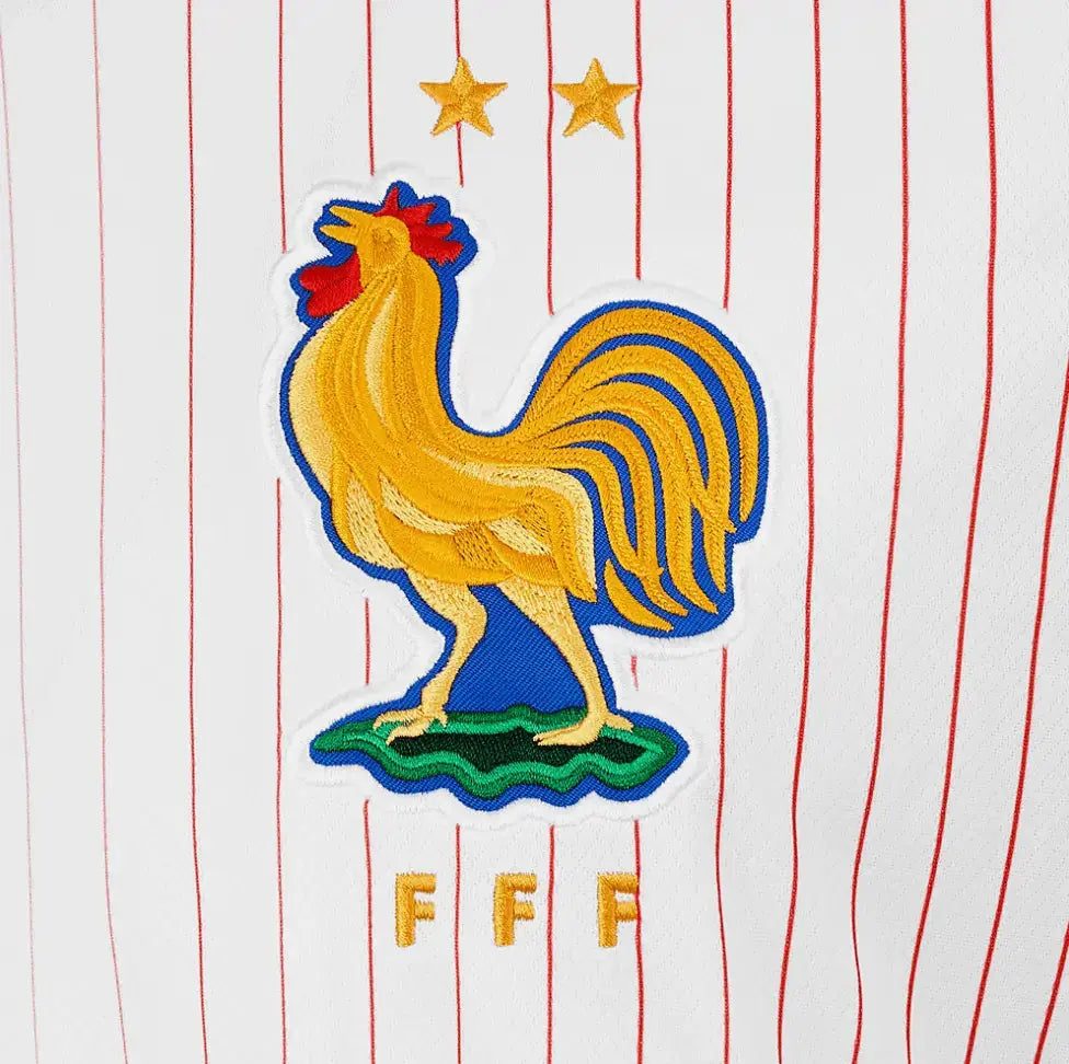 TRIKOT STUSSY X FRANKREICH