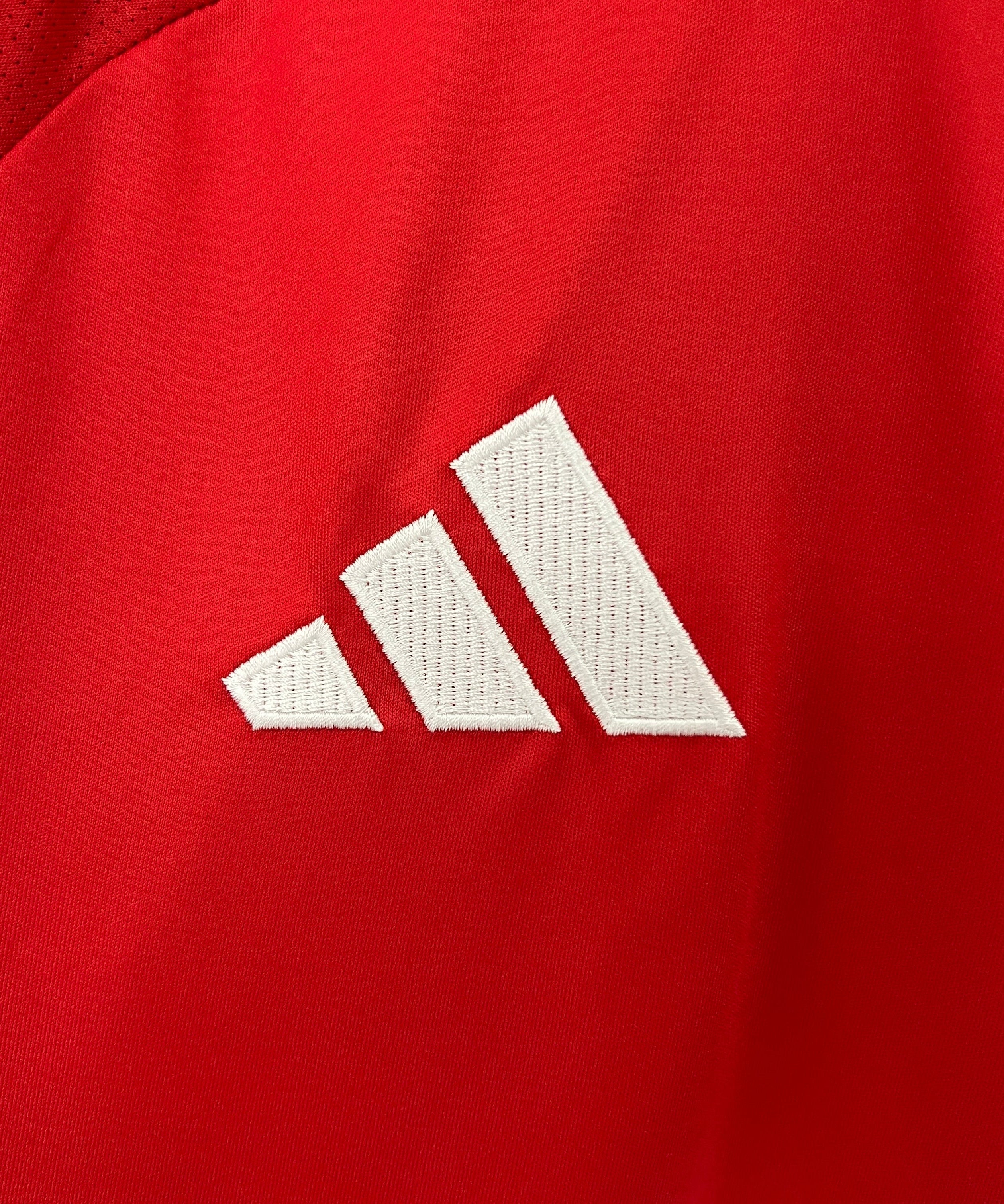 Manchester United Jersey 2024 | Man Utd 24/25 Home Kit | Malgane