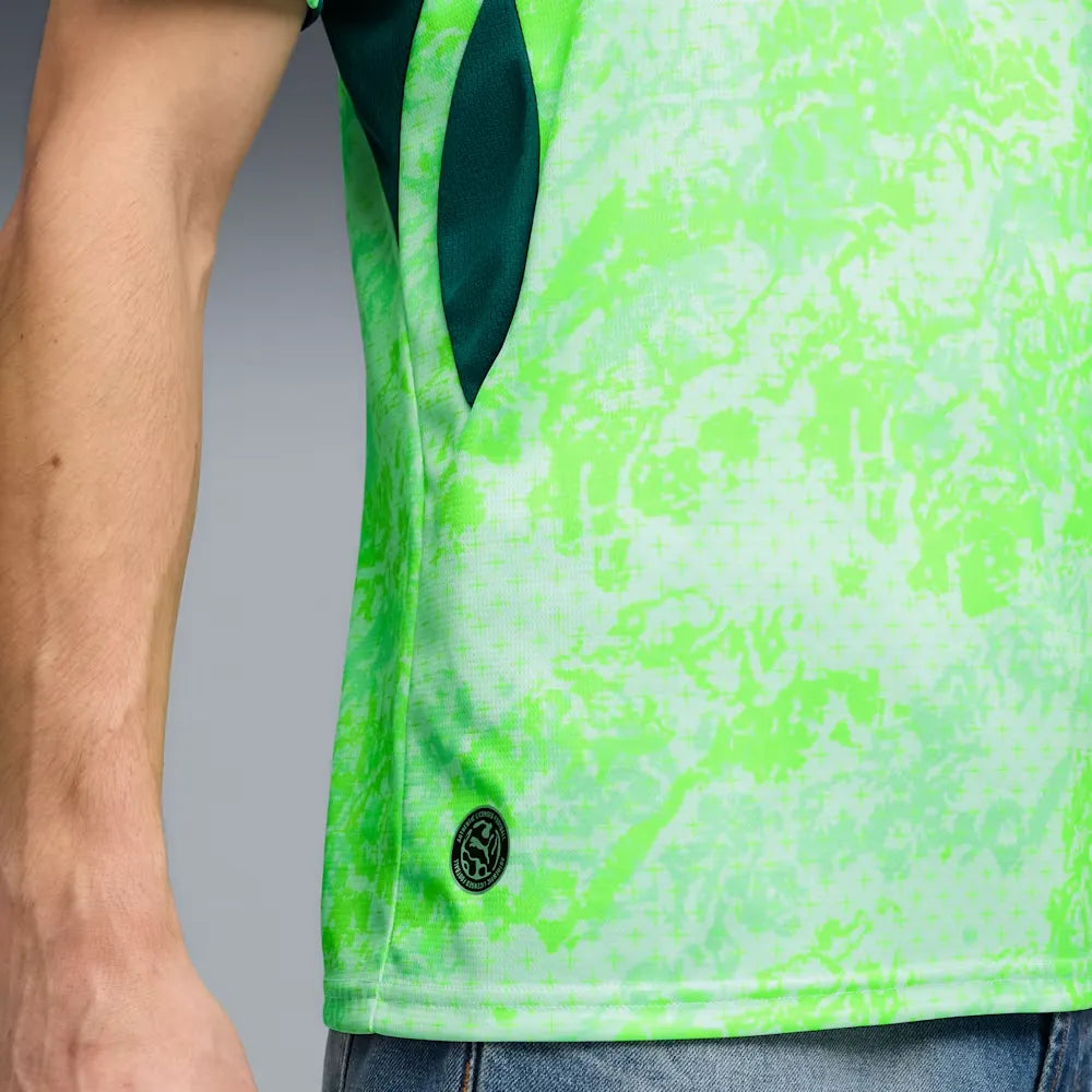 Switzerland " Green " Wolrd cup Away Jersey
